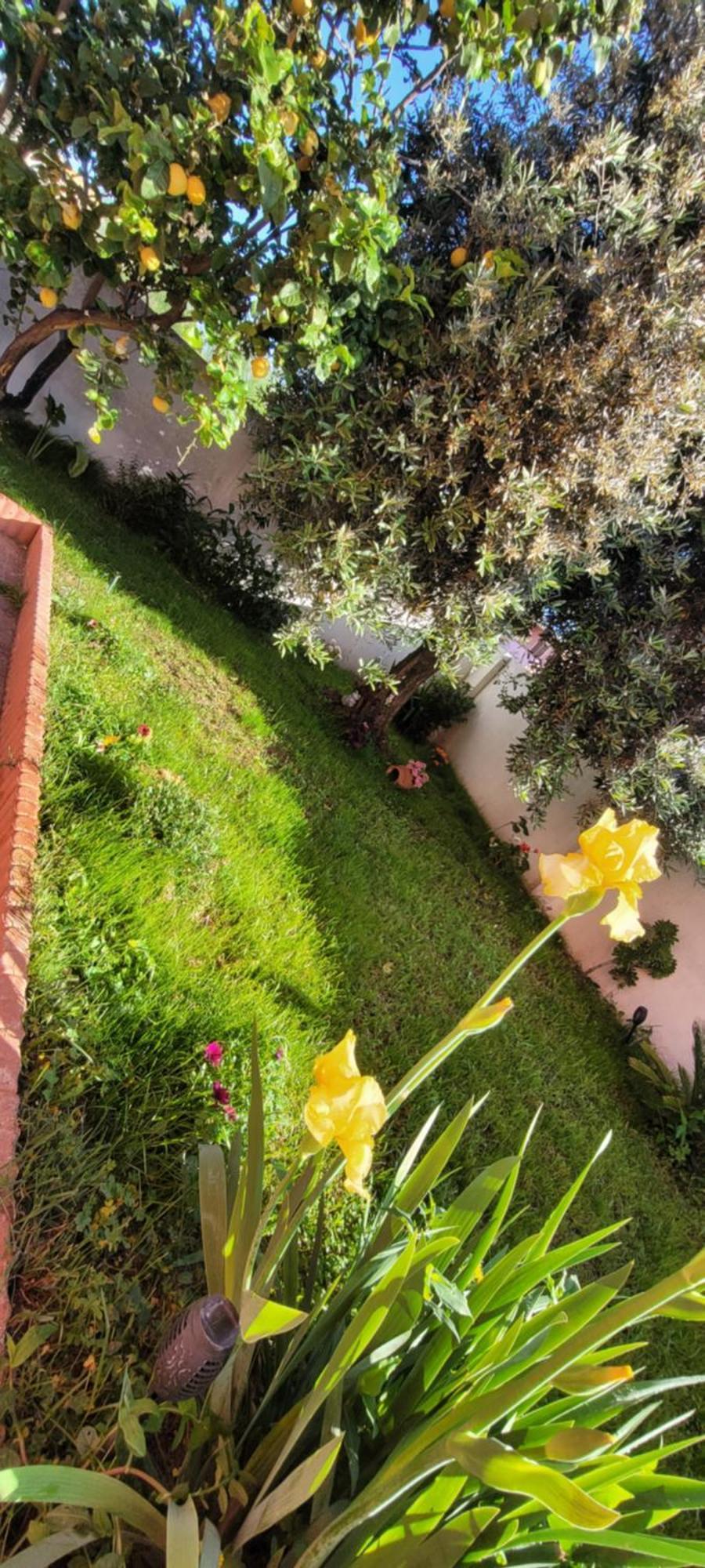 Kokky'S Home Su Forti Εξωτερικό φωτογραφία