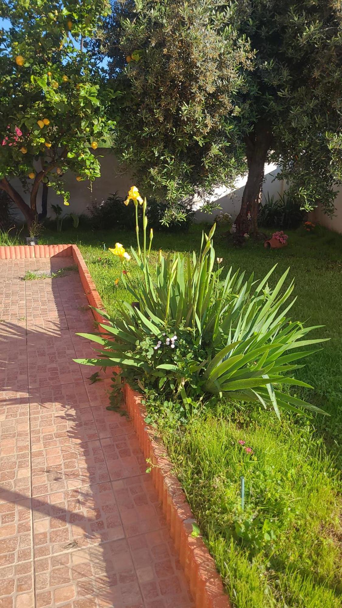 Kokky'S Home Su Forti Εξωτερικό φωτογραφία
